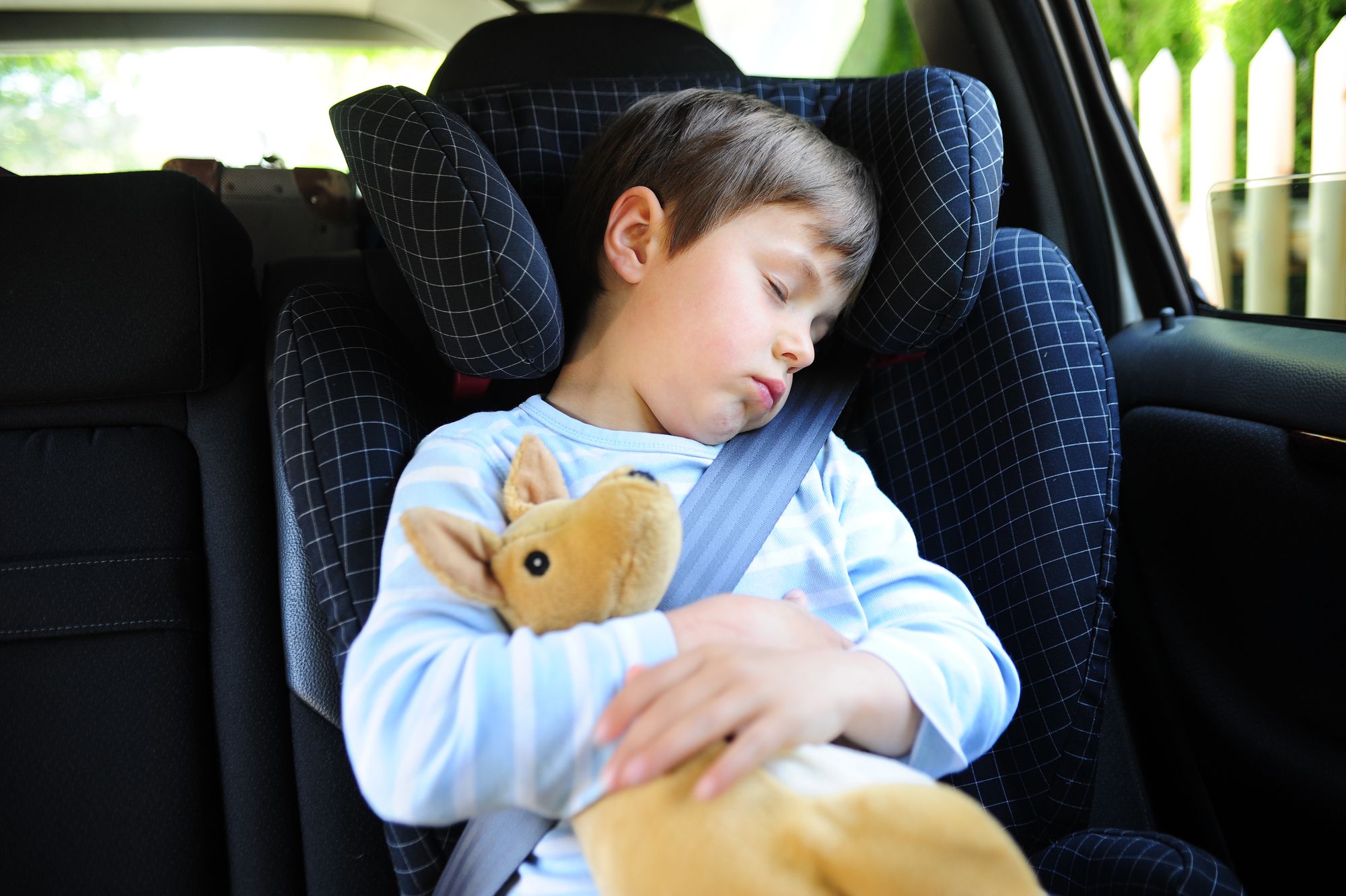 Autofahrt mit Kuscheltier