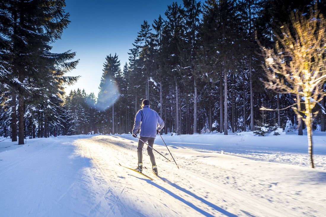 Schwarzwald im Winter