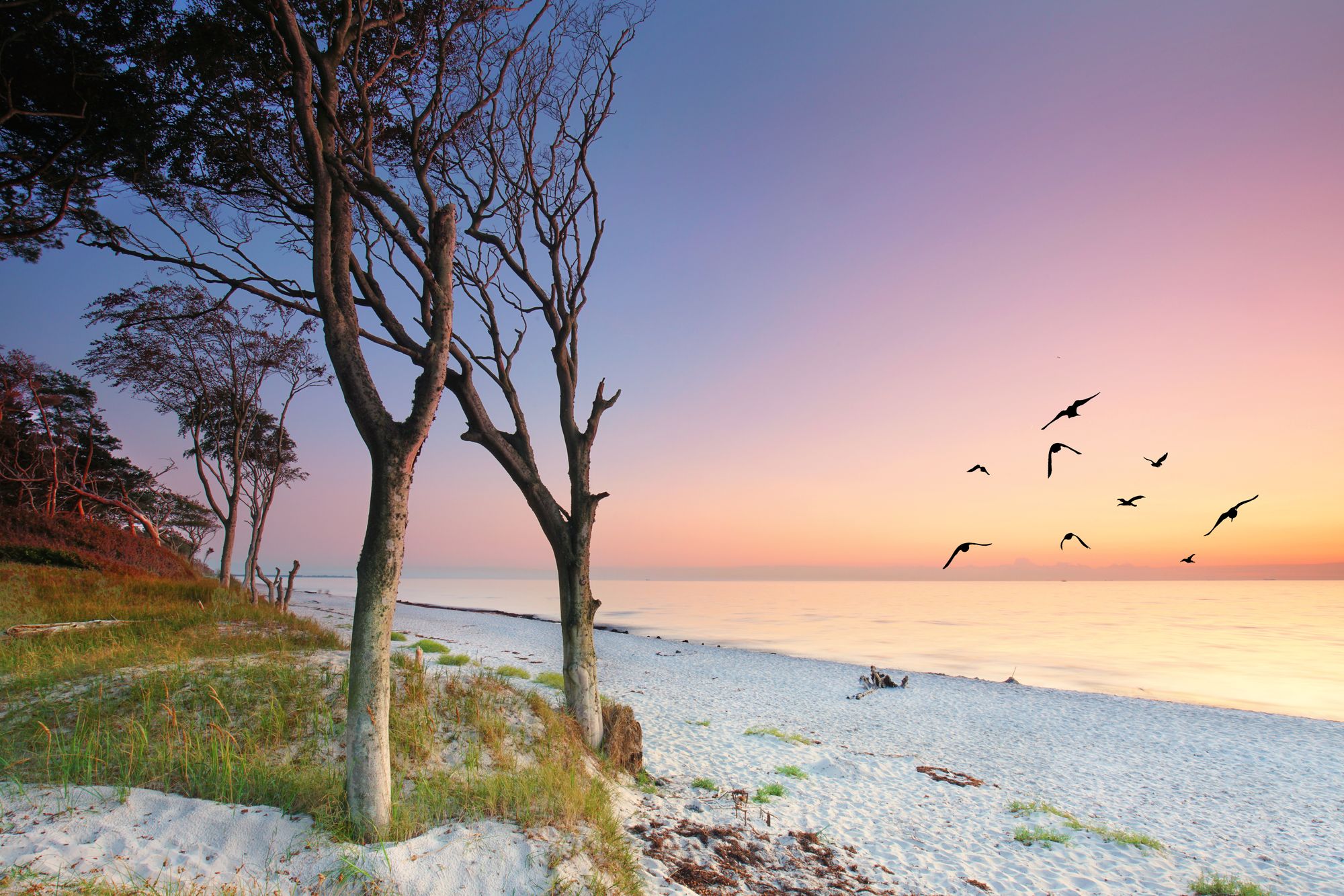 Fischland Darß-Zingst Weststrand Ostsee