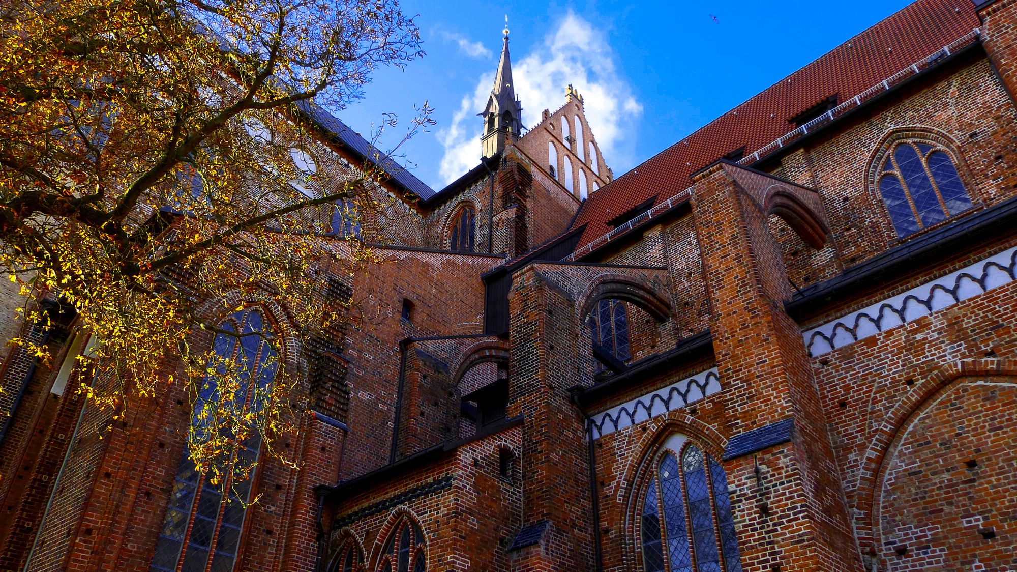 Kirchen-Besichtigung Wismar Aktivitäten