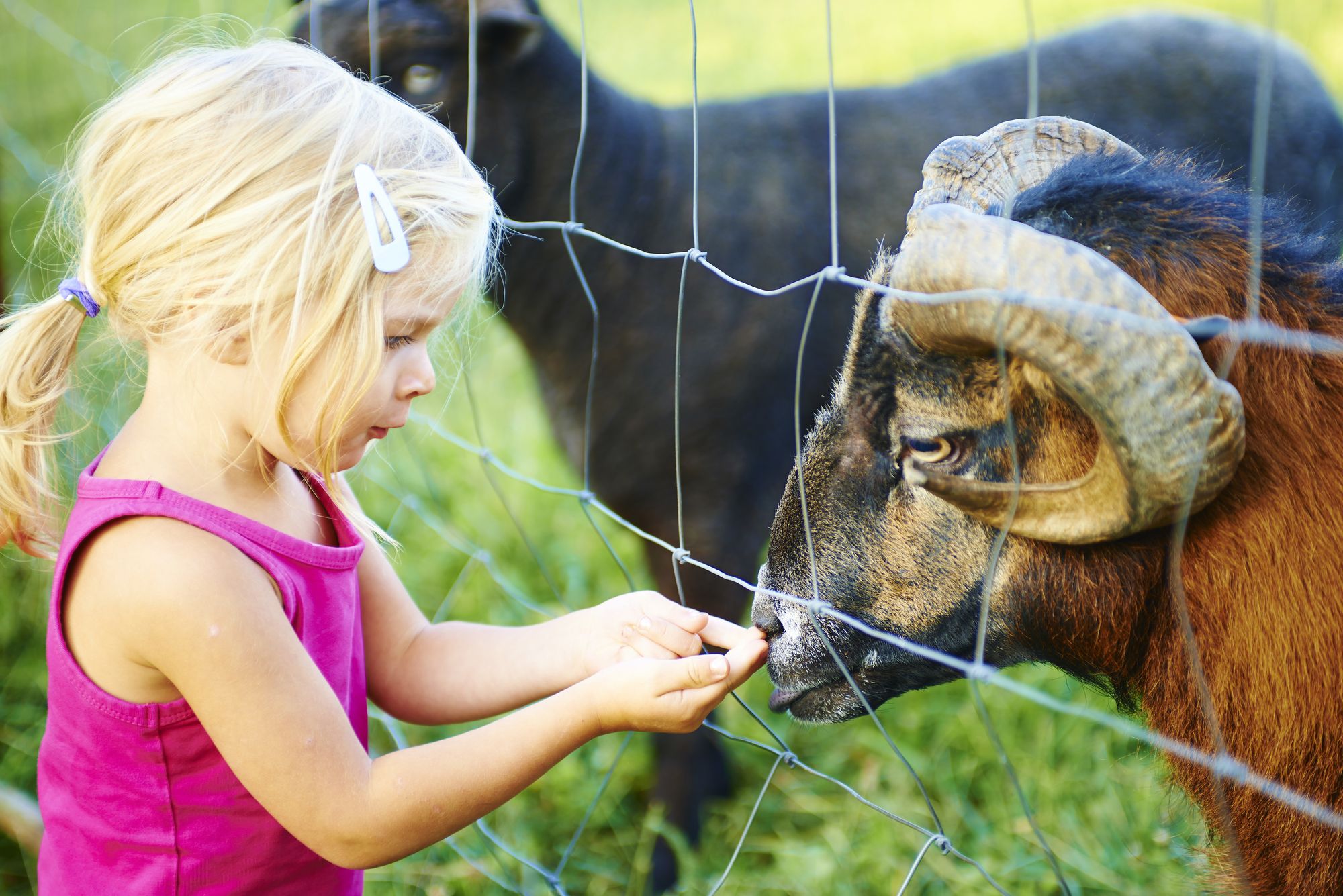 Tierpark Wismar Besuch mit Kindern