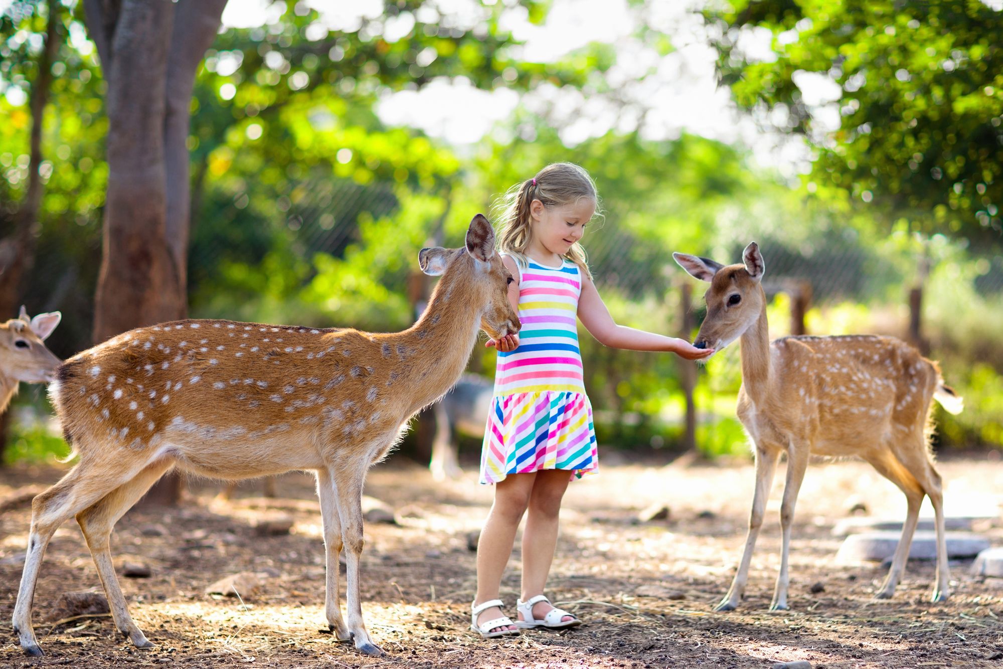 Wildpark Schorfheide Brandenburg Sehenswertes mit Kindern