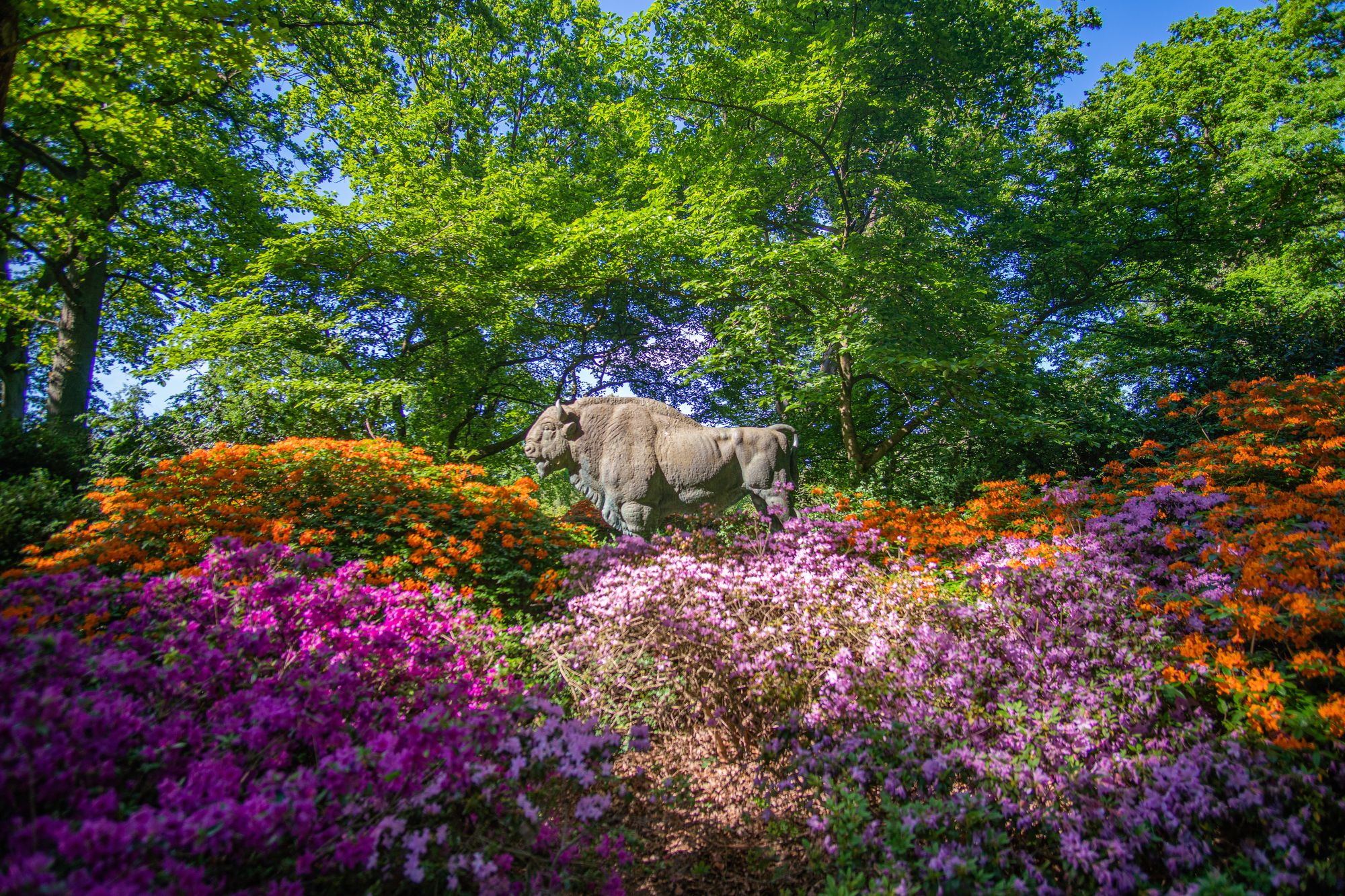 Rhododendronpark Bremen Sehenswertes