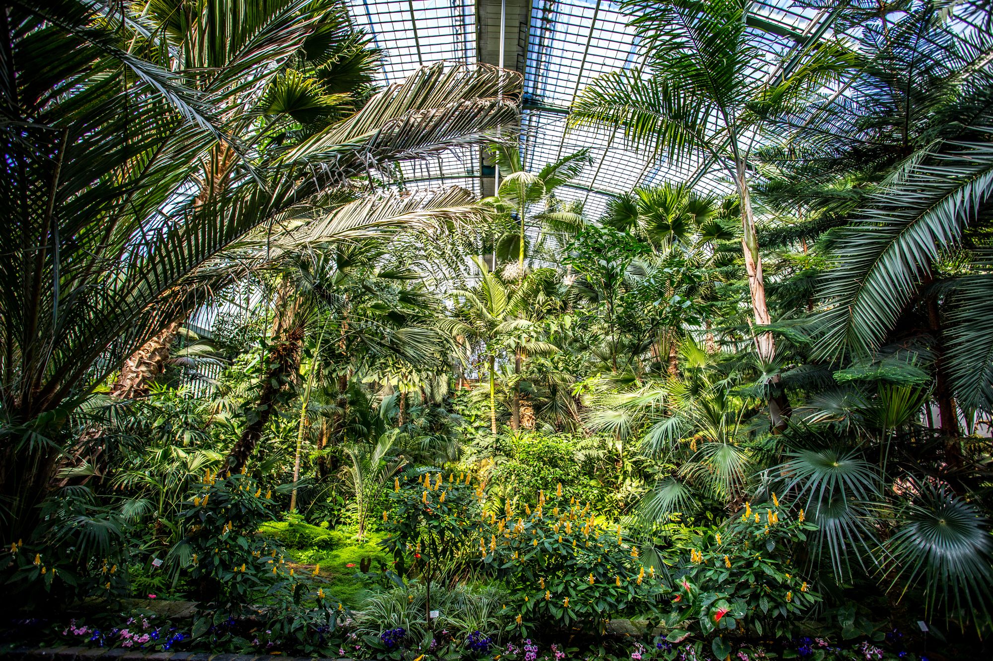 Palmengarten Frankfurt Sehenswürdigkeiten