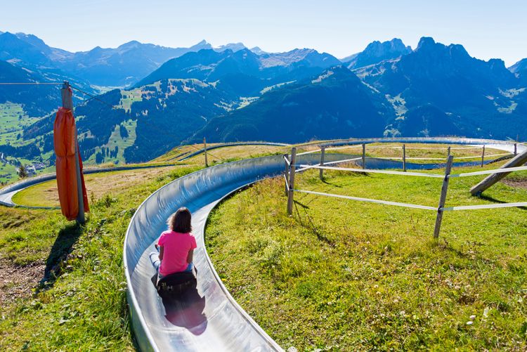 Rasanter Fahrspaß für Groß und Klein: Die besten Sommer-Rodelbahnen in Deutschland