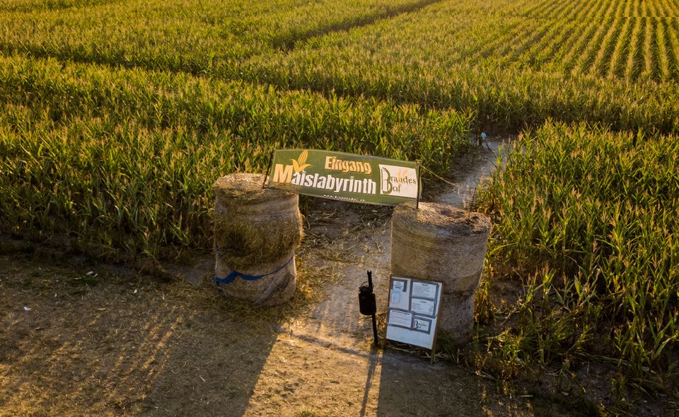 Verirren ausdrücklich erwünscht:
Die schönsten Maislabyrinthe in Niedersachsen