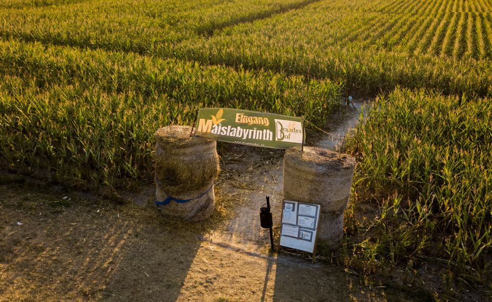 Verirren ausdrücklich erwünscht:
Die schönsten Maislabyrinthe in Niedersachsen
