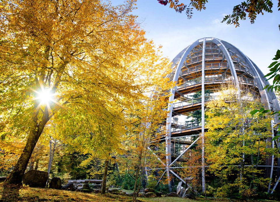 Indian Summer von oben:
Das sind die schönsten Baumwipfelpfade in Deutschland