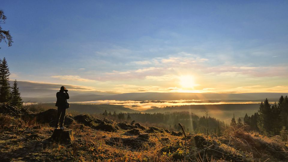 Nationalpark Harz